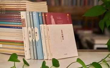 方案暨活动计划参考8篇