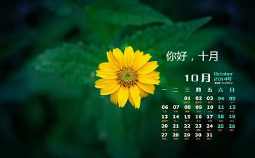 10月教师月工作计划8篇