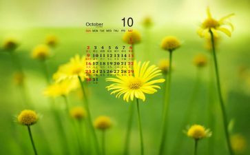 10月国旗讲话稿5篇