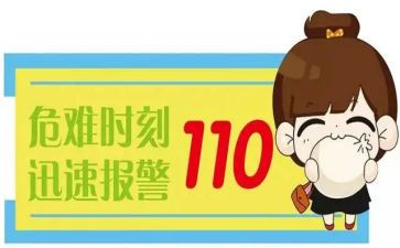 110优秀工作总结5篇