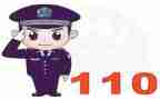110调研报告8篇