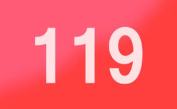 幼儿园大班119活动方案优质7篇