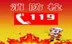 小学生119消防安全演讲稿5篇