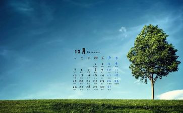 幼儿园中班12月份工作计划6篇