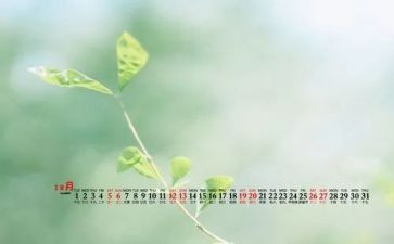 2024年12月转正申请书5篇