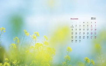 12月份幼儿园教师心得6篇