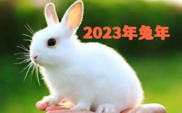 2023银行活动方案参考6篇