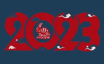 学生组织2023工作总结优质6篇