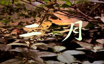 2月份的工作总结6篇