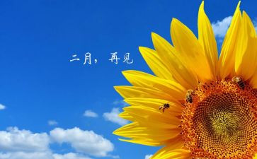 2月工作报告7篇