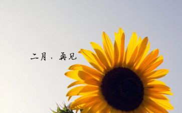 2022月工作报告7篇