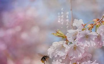 3月份的工作计划8篇