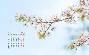 4月国旗讲话稿6篇