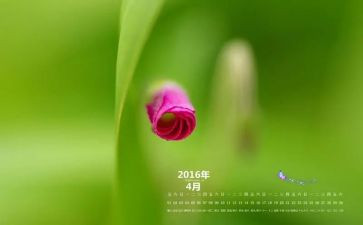 2022年4月工作总结5篇