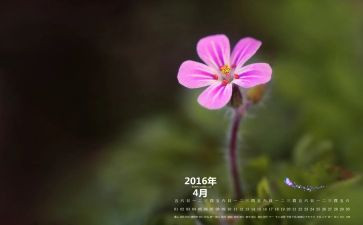 1到4月工作总结参考8篇