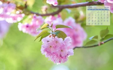 3月工作总结及4月工作计划8篇