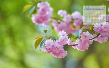 4月安全讲话稿7篇
