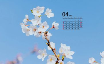 小班4月份月计划6篇