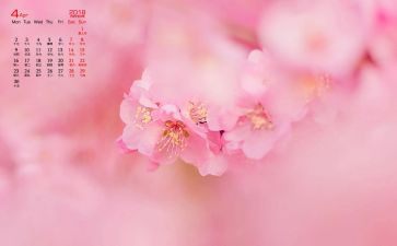 小班2023年4月计划7篇