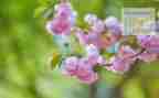 4月安全讲话稿7篇