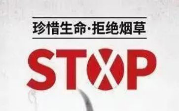 531计划培训心得体会8篇
