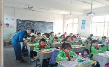 大班《单双数》教案最新7篇