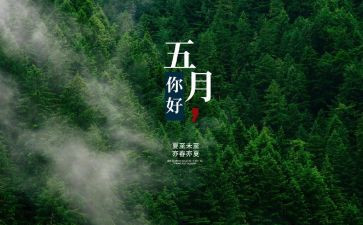 小班5月份工作总结5篇
