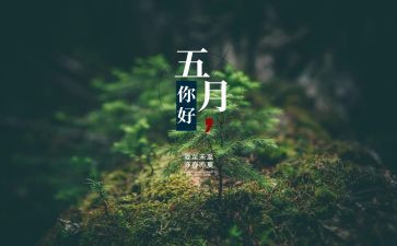 中班5月工作总结5篇