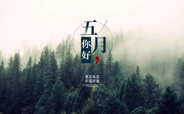 5月安全讲话稿8篇