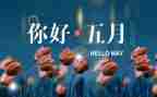 幼儿园托小班5月总结6篇
