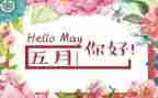 幼儿园老师5月工作总结5篇
