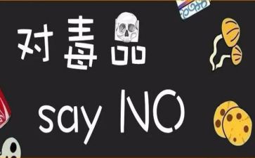 626国际禁毒日活动总结6篇