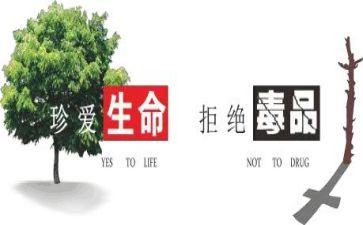镇626禁毒日讲话稿模板8篇
