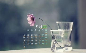 6月周工作总结7篇
