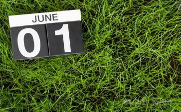 2023.6月心得体会优质7篇