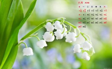 2023.6月心得体会最新6篇