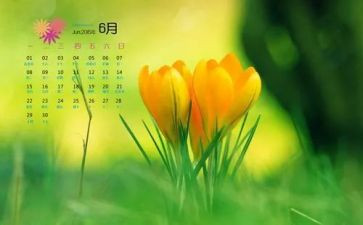 6月的讲话稿6篇