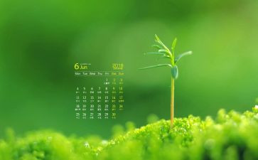 2022年6月工作计划销售8篇