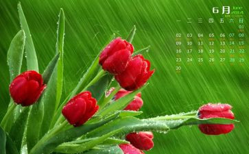 6月青协工作总结最新6篇