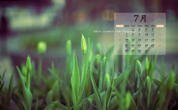 总结7月的工作计划7篇