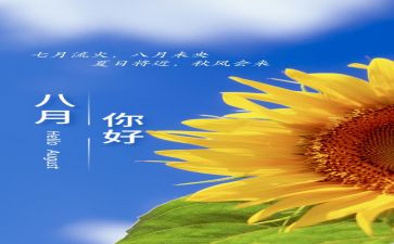 2023年8月计划6篇