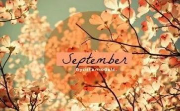 9月总结最新8篇