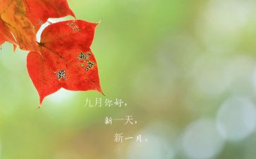9月总结精选8篇