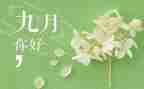 9月总结参考8篇