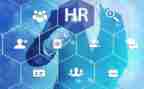 hr工作总结及计划5篇