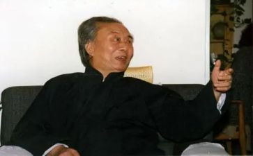 艾青诗选的树的读后感推荐7篇