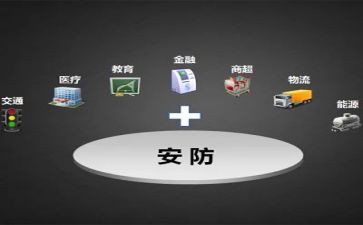 安防年度工作总结6篇