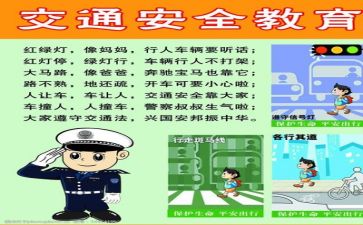安全的心得体会模板7篇