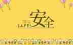 安全半年工作总结范文8篇