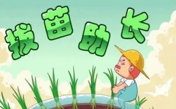 《拔苗助长》读后感最新7篇
